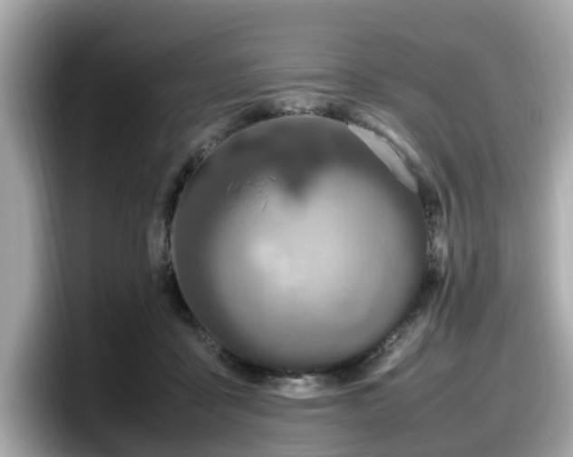 X0000098080411200804110946