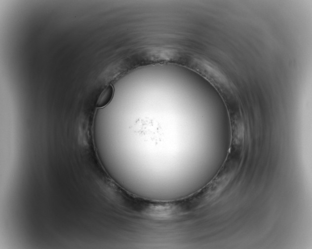 X0000098080414200804110946