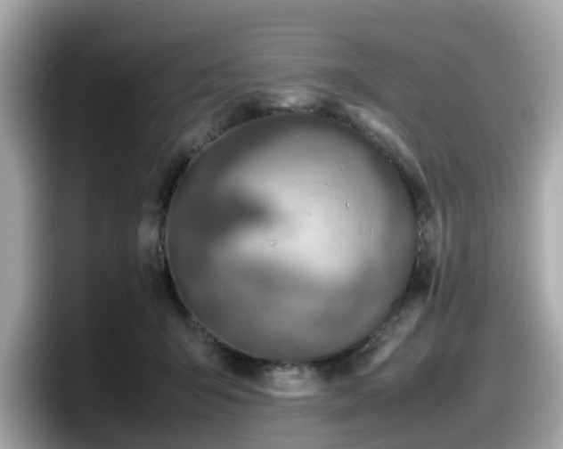 X0000098080415200804110946