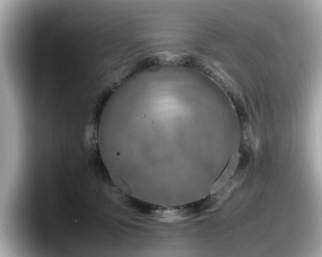 X0000098080419200804110946