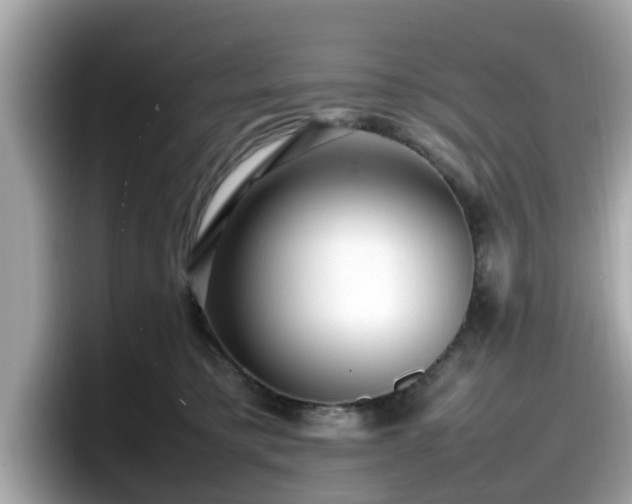 X0000098080421200804110946