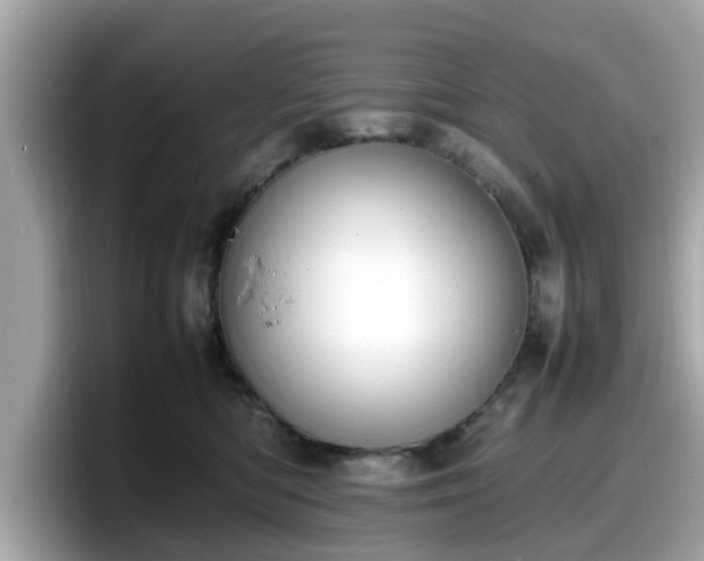 X0000098080422200804110946