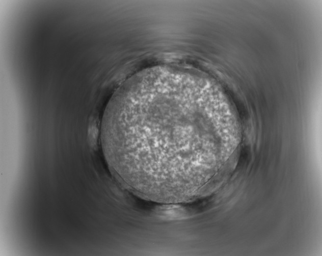X0000098080427200804110946