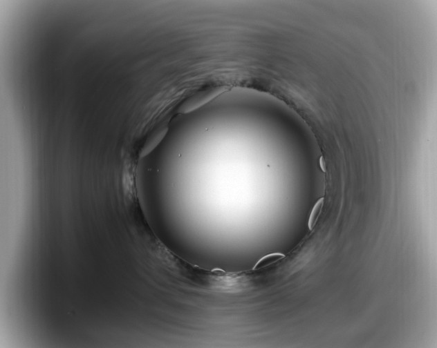 X0000098080432200804110946