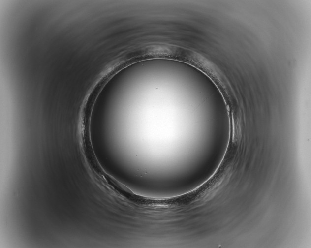 X0000098080435200804110946