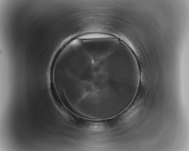 X0000098080438200804110946