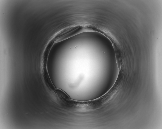 X0000098080440200804110946