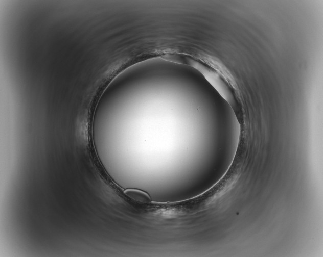 X0000098080441200804110946