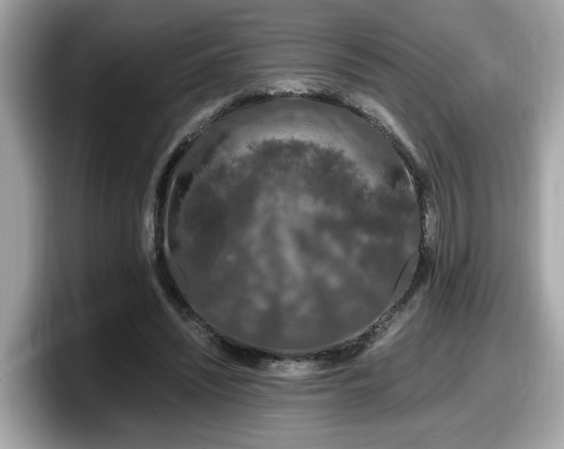 X0000098080444200804110946