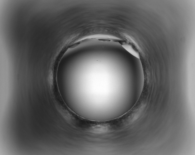 X0000098080447200804110946