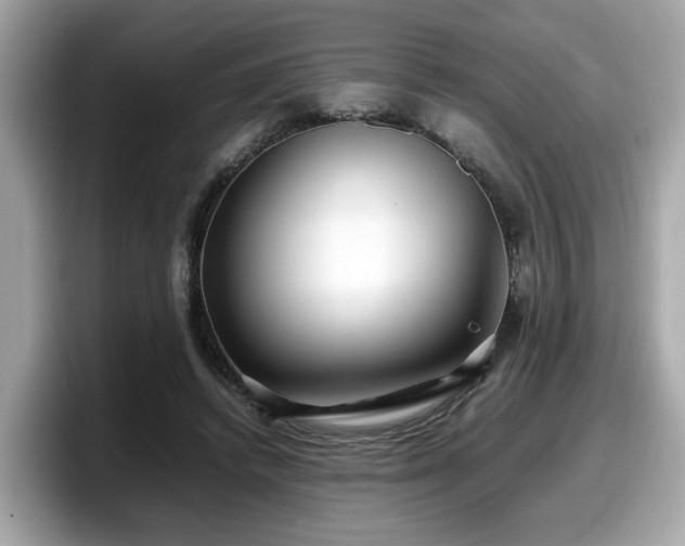 X0000098080448200804110946