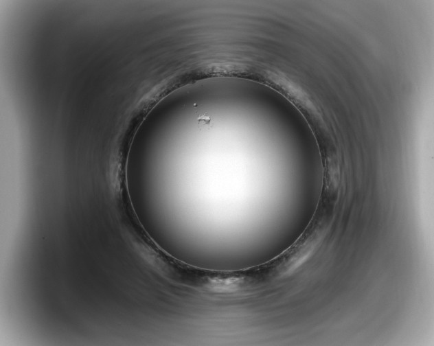 X0000098080450200804110946