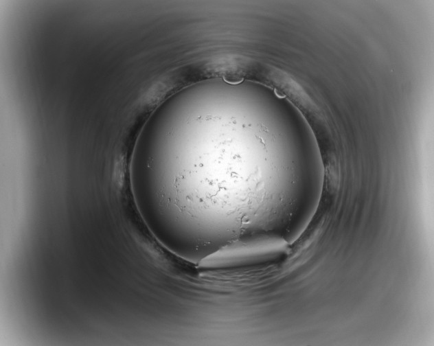 X0000098080458200804110946