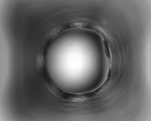 X0000098080459200804110946
