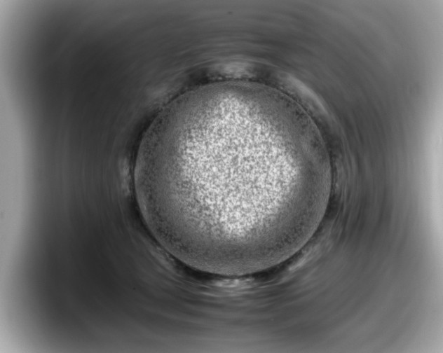 X0000098080465200804110946