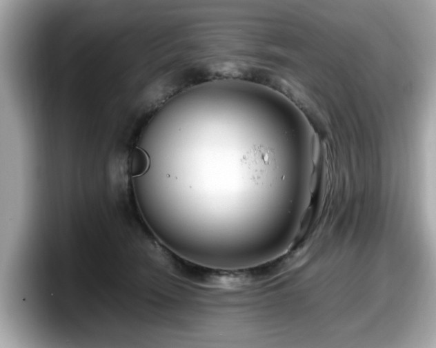 X0000098080466200804110946