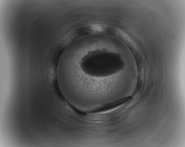 X0000098080467200804110946