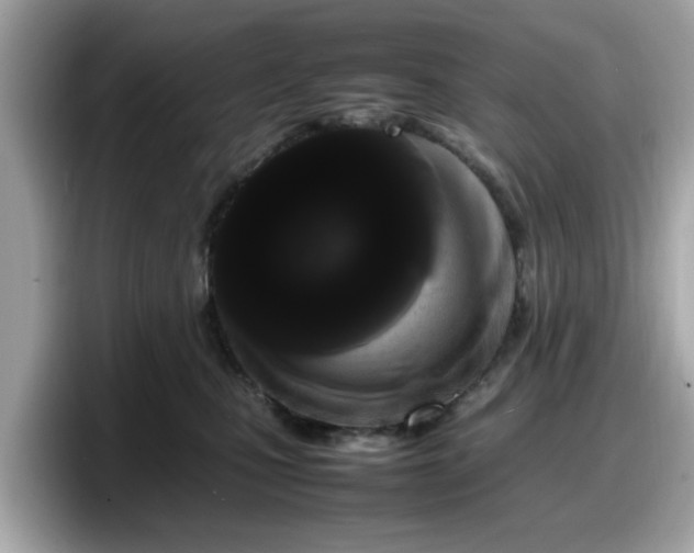 X0000098080471200804110946