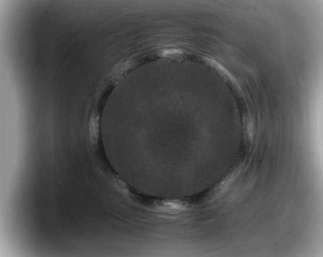 X0000098080475200804110946
