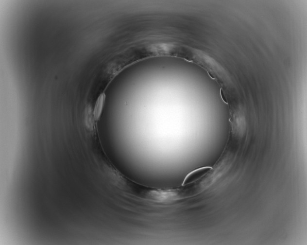 X0000098080477200804110946
