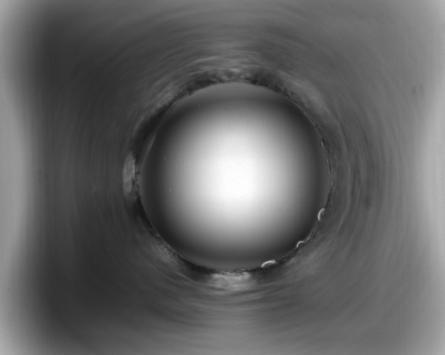 X0000098080480200804110946