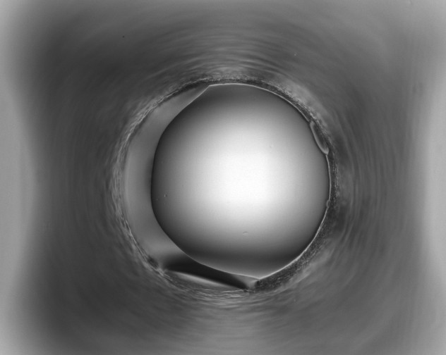 X0000098080481200804110945