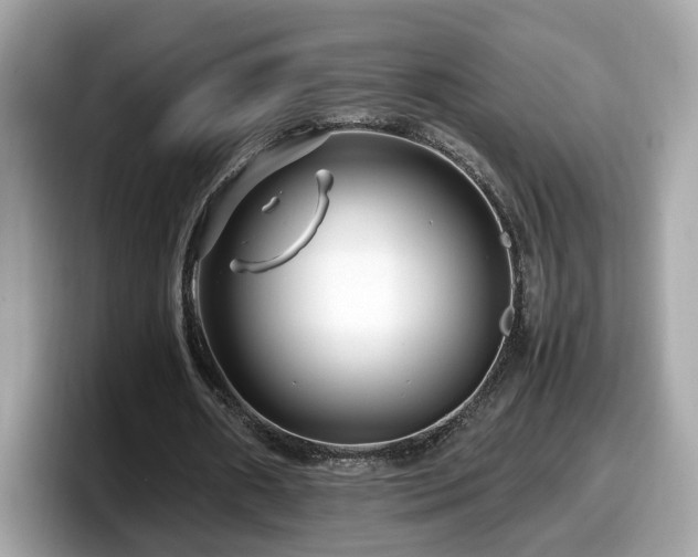X0000098080482200804110945