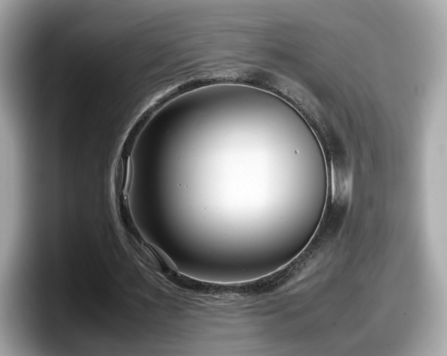 X0000098080483200804110945