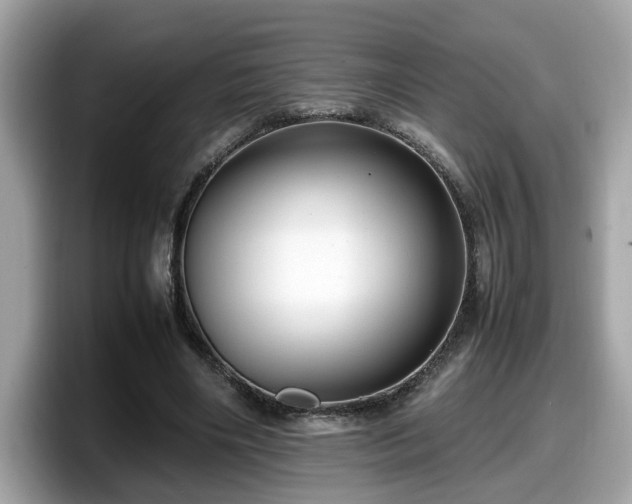 X0000098080490200804110945
