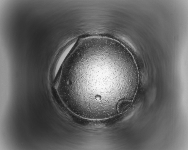 X0000098080491200804110945