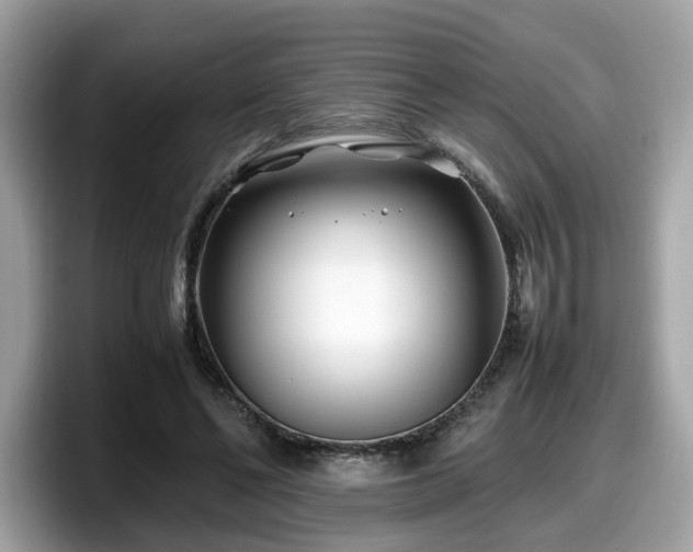 X0000098080494200804110945