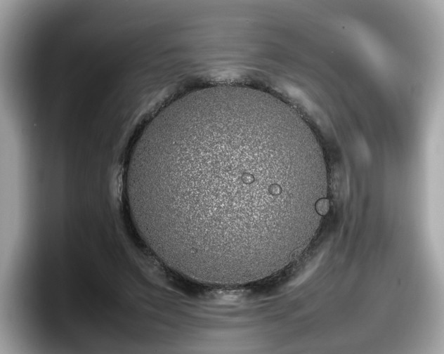 X0000098080495200804110945