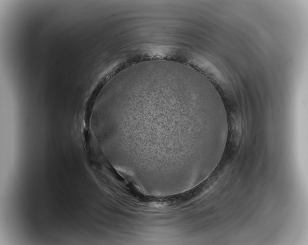 X0000098080496200804110945