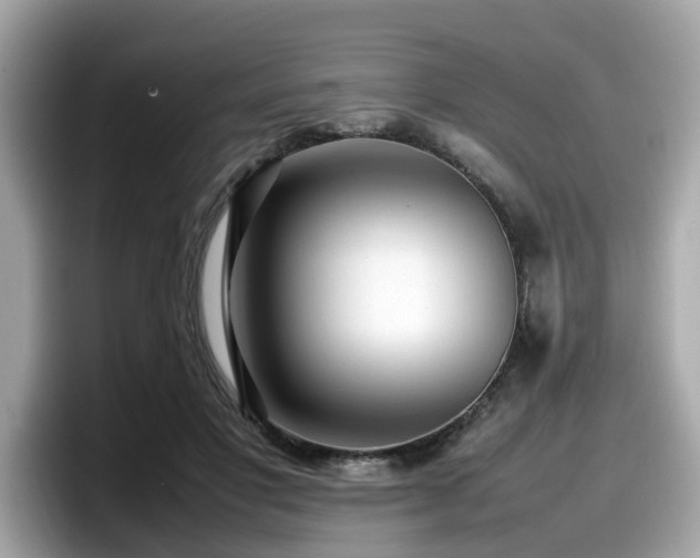X0000098080501200804110945