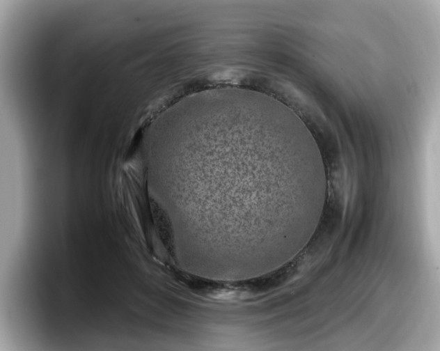 X0000098080504200804110945