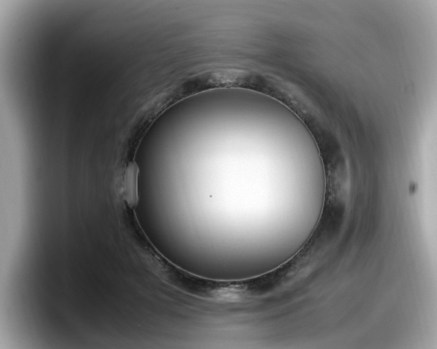X0000098080505200804110945