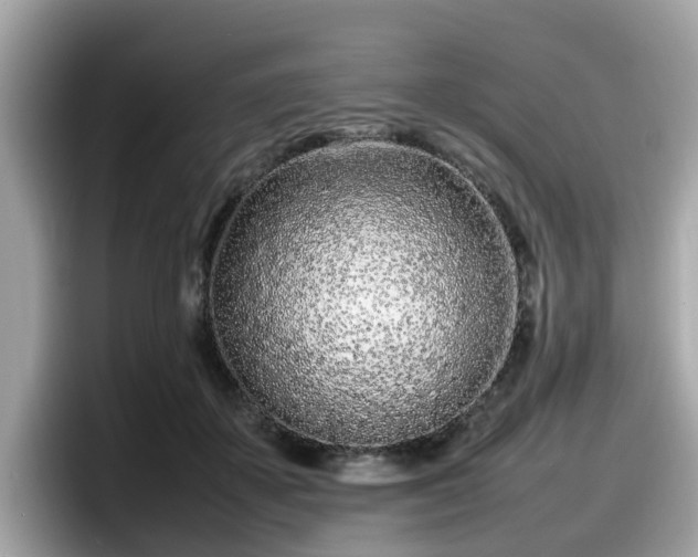 X0000098080507200804110945