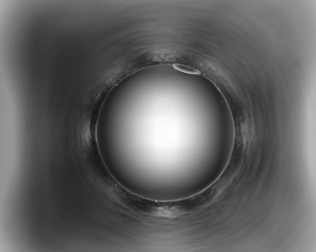 X0000098080508200804110945