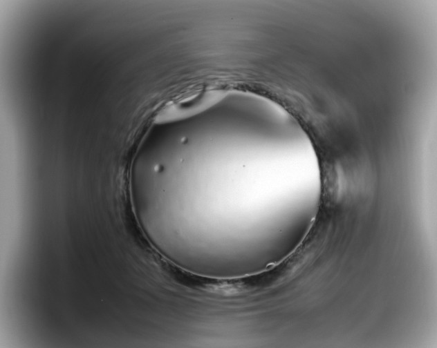 X0000098080511200804110945