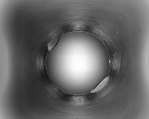 X0000098080520200804110945