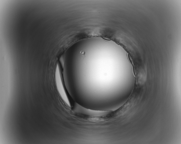 X0000098080521200804110945