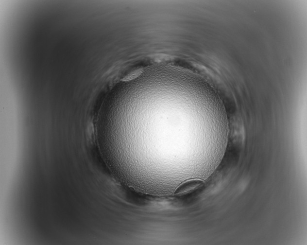 X0000098080523200804110945