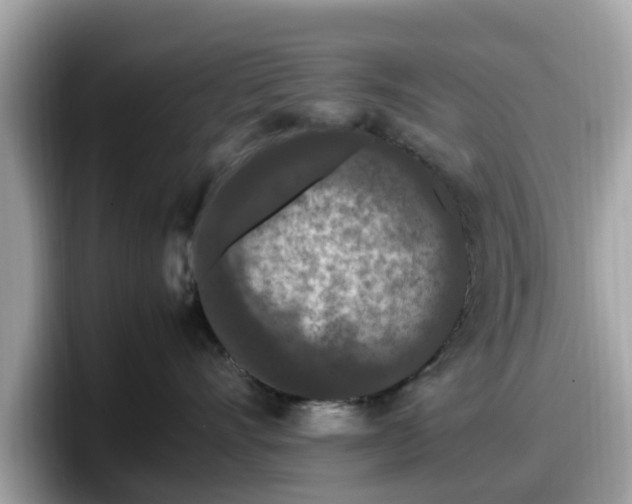 X0000098080528200804110945