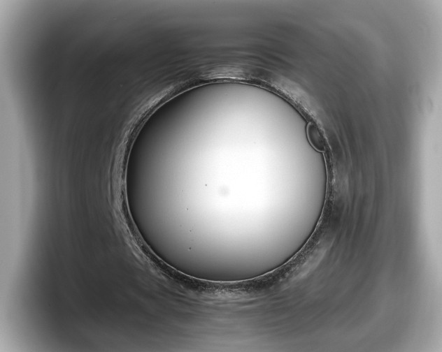 X0000098080529200804110944