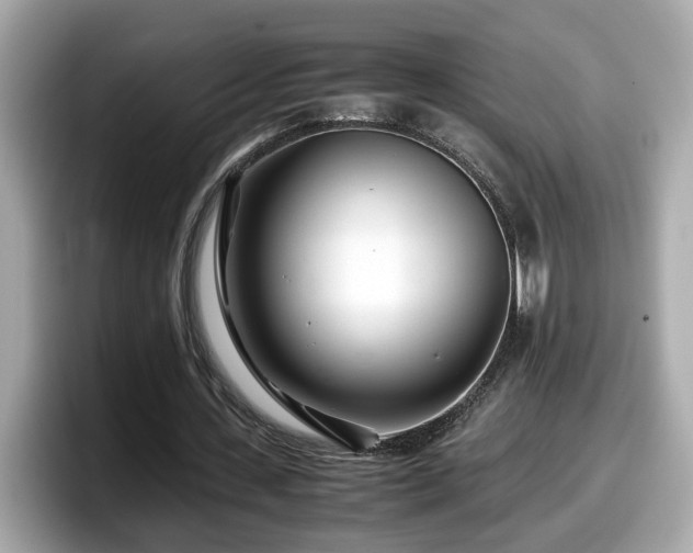 X0000098080531200804110944