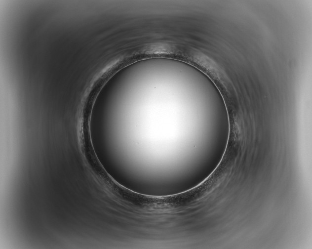 X0000098080535200804110944
