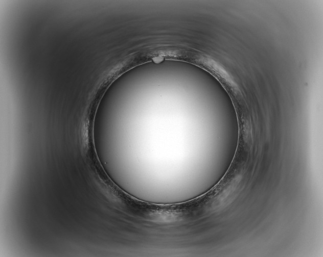 X0000098080537200804110944
