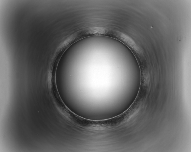 X0000098080538200804110944