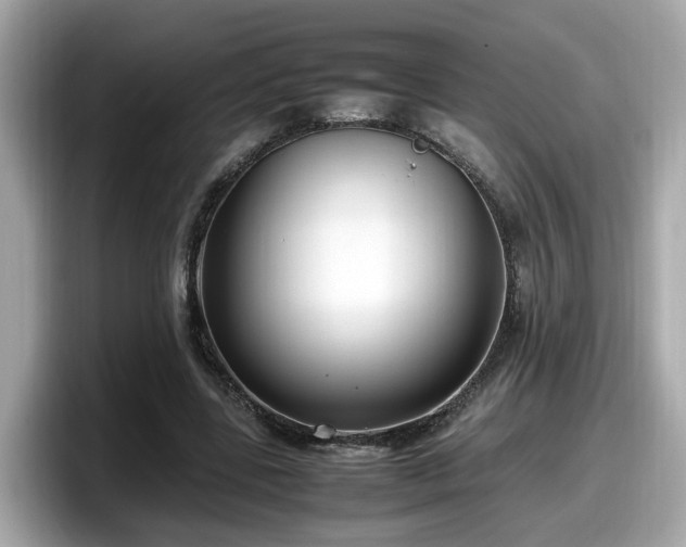 X0000098080539200804110944