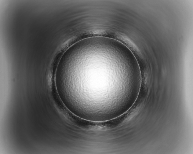 X0000098080542200804110944